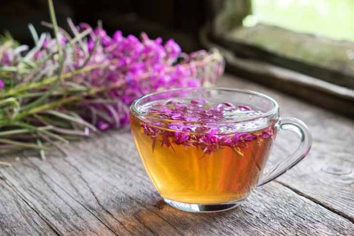 Для снятия головной боли и усталости из листьев кипрея готовят чай, который также способствует хорошему сну.