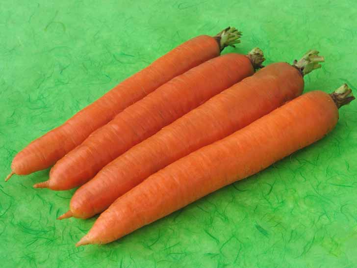 Морковь «Олимпус». © agrovse