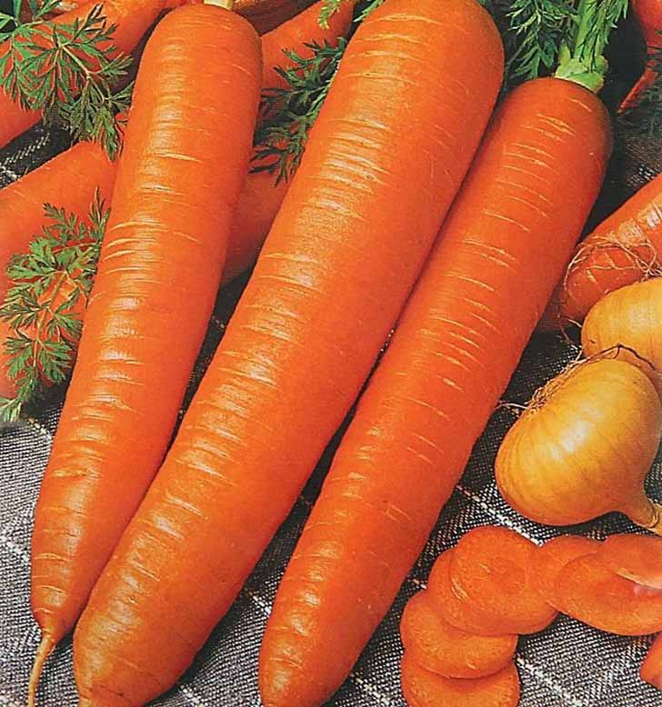 Морковь «Монастырская». © sima-land