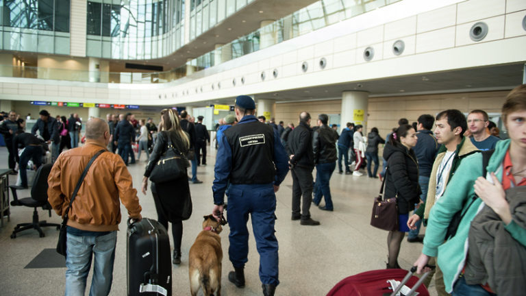 Саперы не нашли взрывного устройства на борту самолета в «Домодедове»