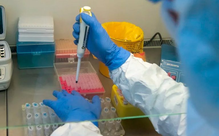 Частные компании Подмосковья начали проводить тесты на коронавирус