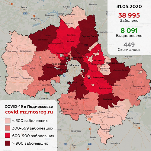 Сводка по ситуации с коронавирусом в Московской области на 31 мая