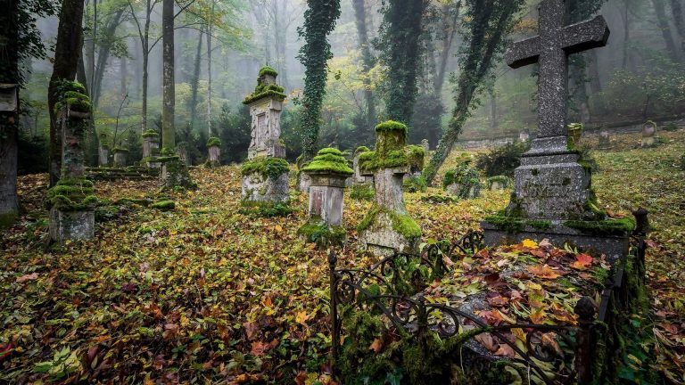 Снят запрет на посещение кладбищ в Подмосковье