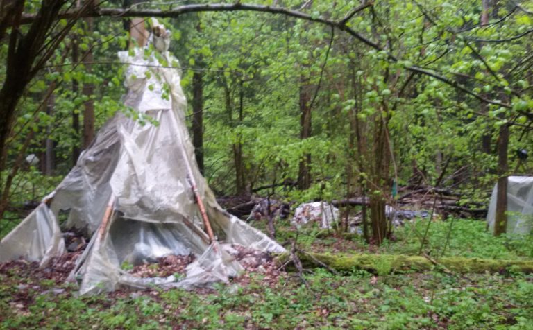 Лесной лагерь бомжей обнаружен в двух километрах от Клина