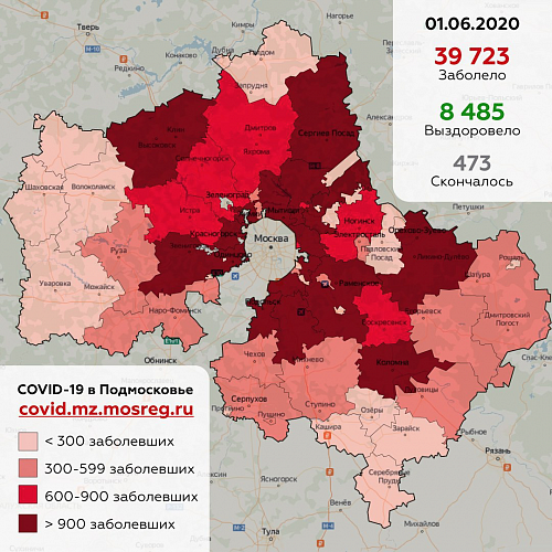 Сводка по ситуации с коронавирусом в Московской области на 1 июня