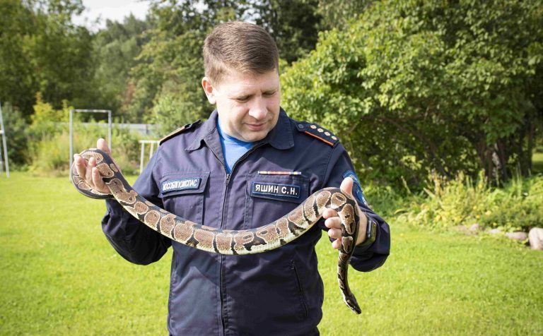 Солнечногорские спасатели вырастили змея Горыныча