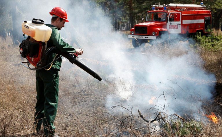 В лесах Подмосковья зарегистрировано 164 пожара