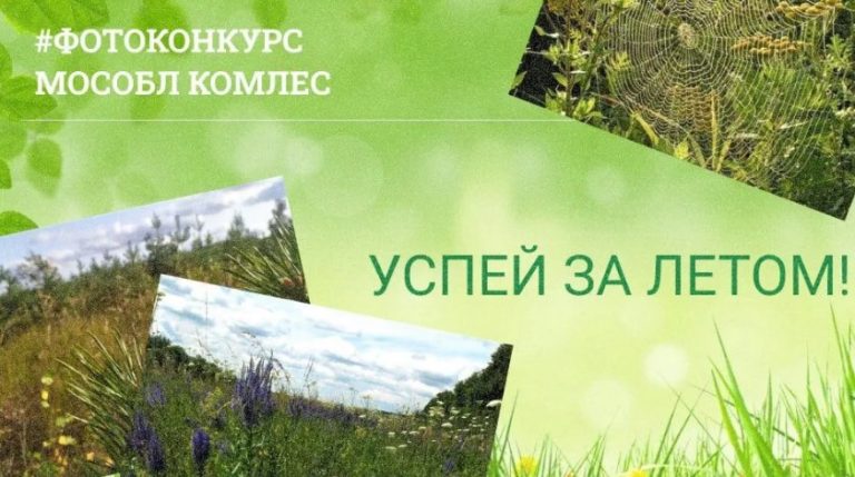 Жители Подмосковья могут принять участие в летнем фотоконкурсе