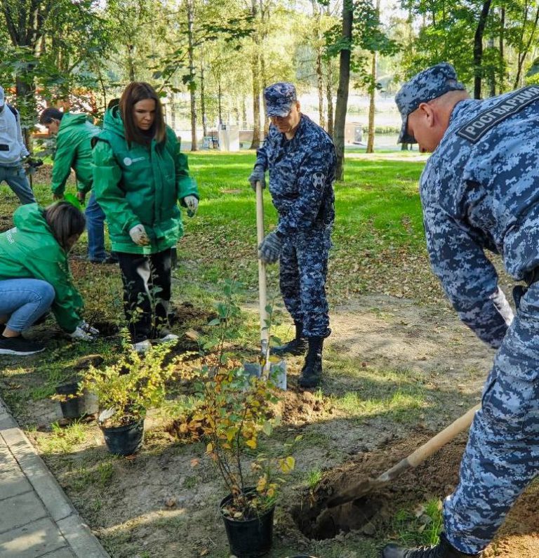 Проведена экологическая акция