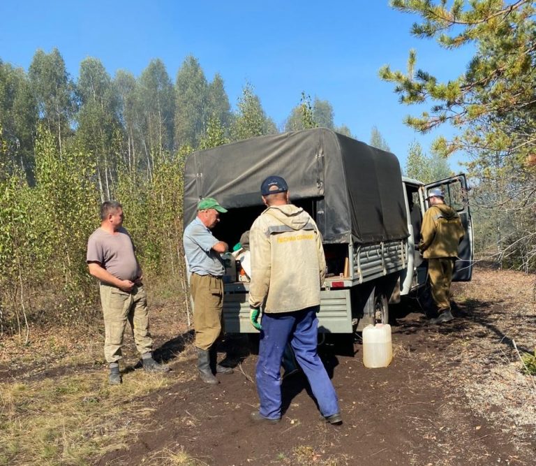 Торфяной пожар ликвидирован, поджигатели установлены