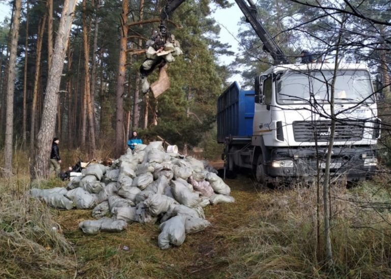 Почти 1000 новых навалов мусора на лесных участках выявили в Подмосковье с начала года